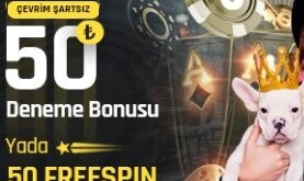 betturkey 105 giriş yap